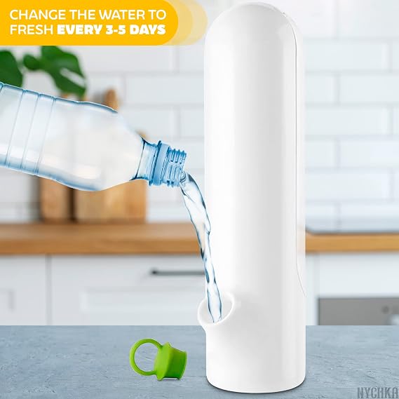 Herb Saver Container for Refrigerator