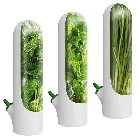 Herb Saver Container for Refrigerator